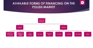 graph shows forms of financing on the Polish market